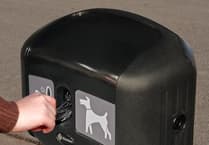 ‘It’s getting more serious': Commissioners set to hire dog poo warden