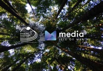 New green section launched on website