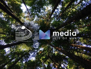 The latest environment news, features, and opinions