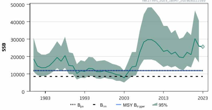 New post-Brexit quota revives herring trade