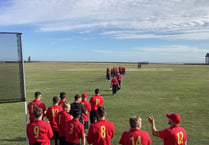 Cricket: Isle of Man beat Austria 