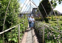 Gardens open up to visitors