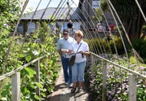 Gardens open up to visitors