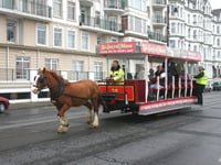 Gyms in contest to pull horse trams