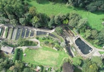 Fish farm open to public during summer holidays