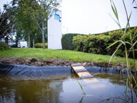 Telecoms firm giving a helping hand to wildlife
