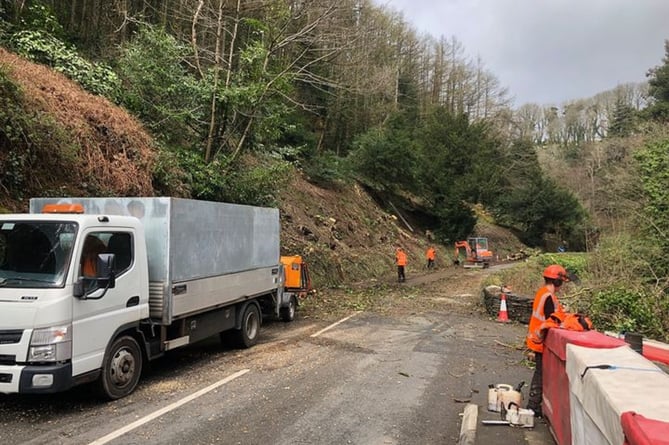 Tree felling will take place in the Glen Helen area this week