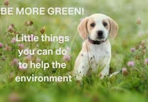 Be more green: Little things you can do to help the environment