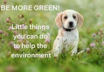 Be more green: Little things you can do to help the environment