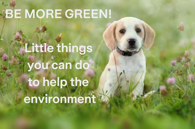 Be more green