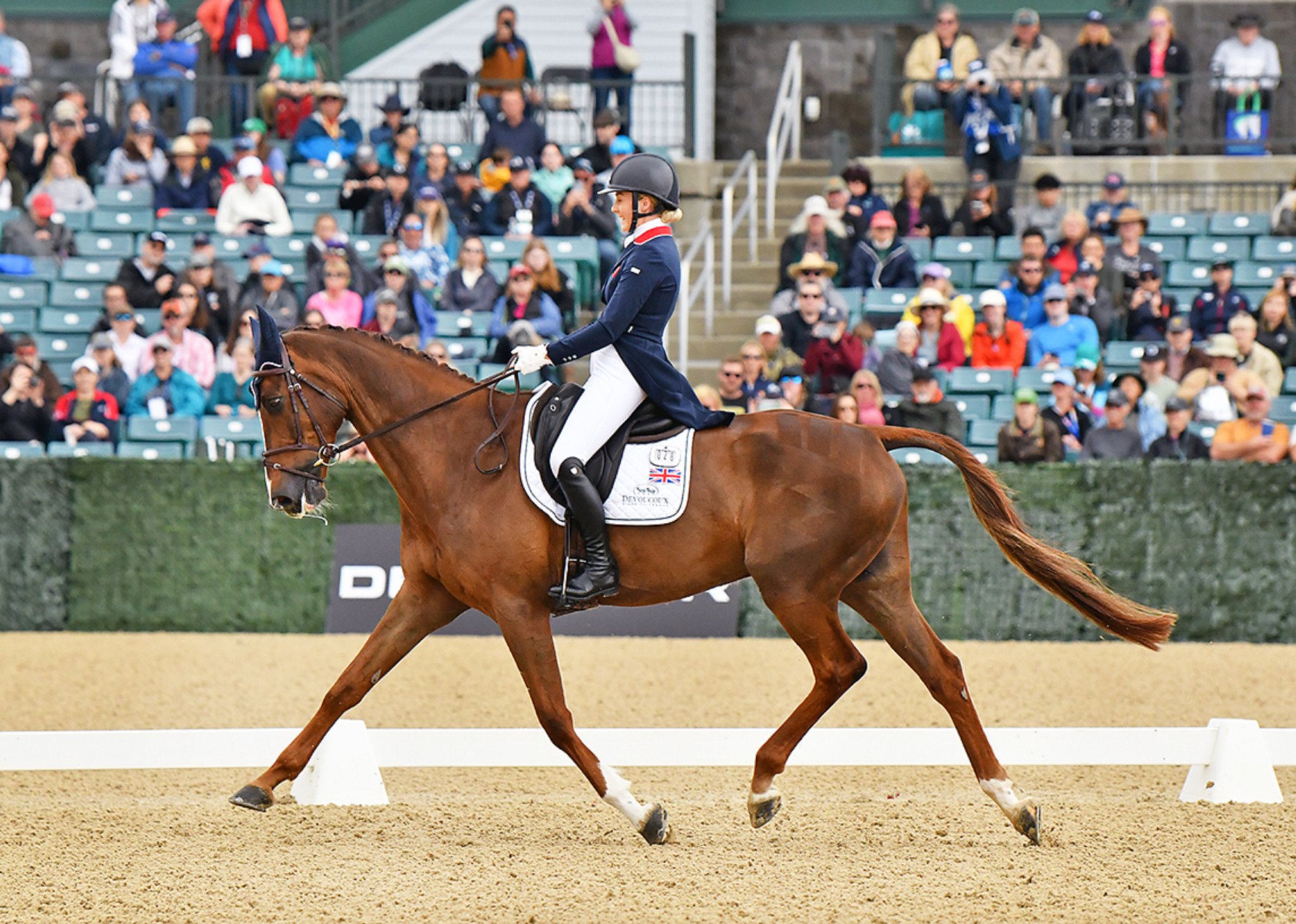 Ingham qualifies second horse for 2024 Olympics