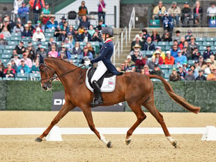 Ingham qualifies second horse for 2024 Olympics