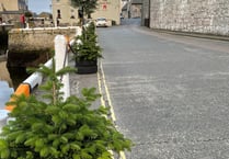 Christmas trees placed in Castletown