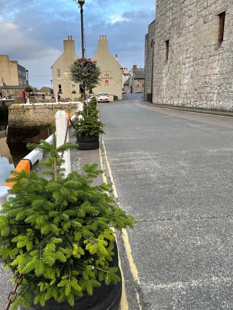 Christmas trees erected in Castletown