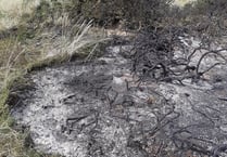 Ban on barbecues at the Ayres after fire