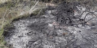 Ban on barbecues at the Ayres after fire