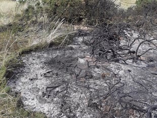 Ban on barbecues at the Ayres after fire