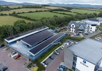 Ask an ESC-pert: A beginner’s guide to renewable energy