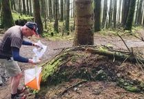 Orienteering club to hold event in Archallagan