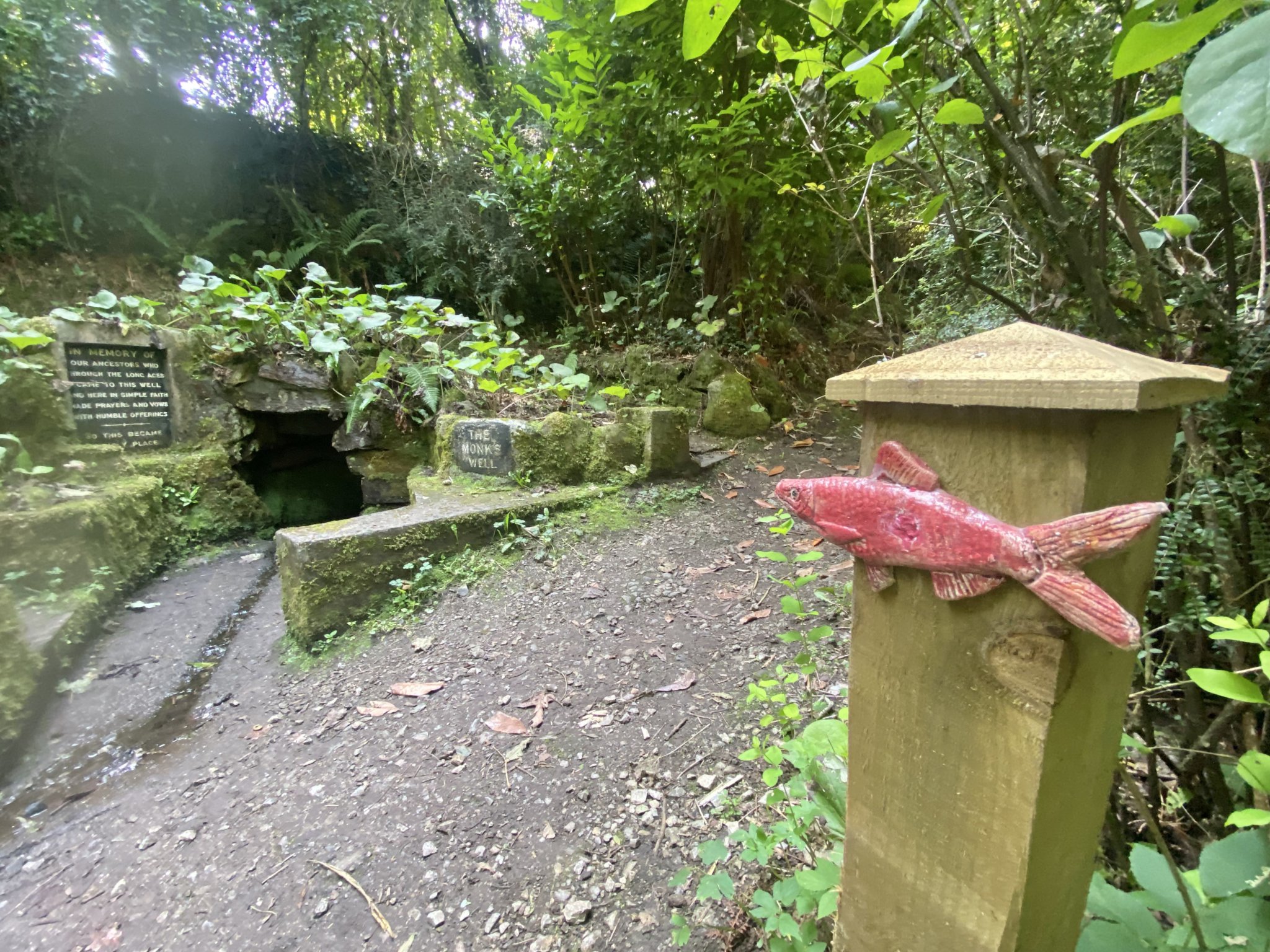 Herring hunters are on the trail of a shoal of fish at glen