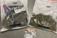 Thirteen arrested in drugs investigation