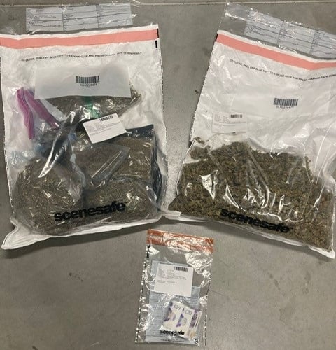 Cannabis and cash