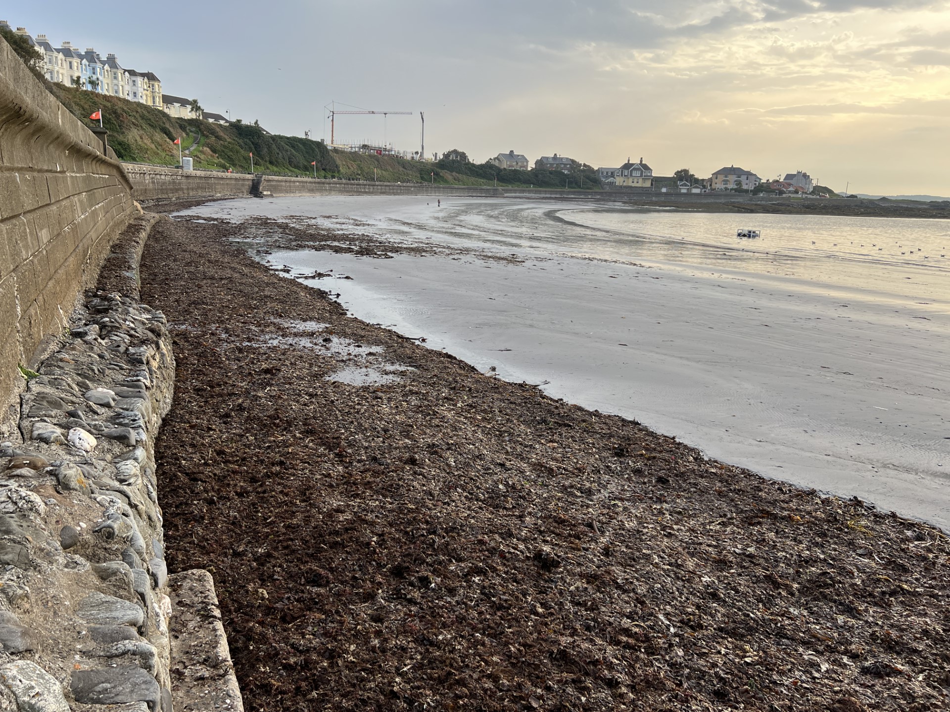 Villagers cry foul over big stink in south