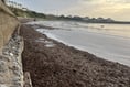 Villagers cry foul over big stink in south
