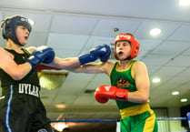 Boxing: New Horizon host Cheshire select at the Palace Hotel