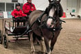 Two charities team up to run activity scheme