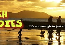 Beach Buddies event cancelled as volunteers take 'short break'