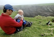 Shetland's wildlife wonders