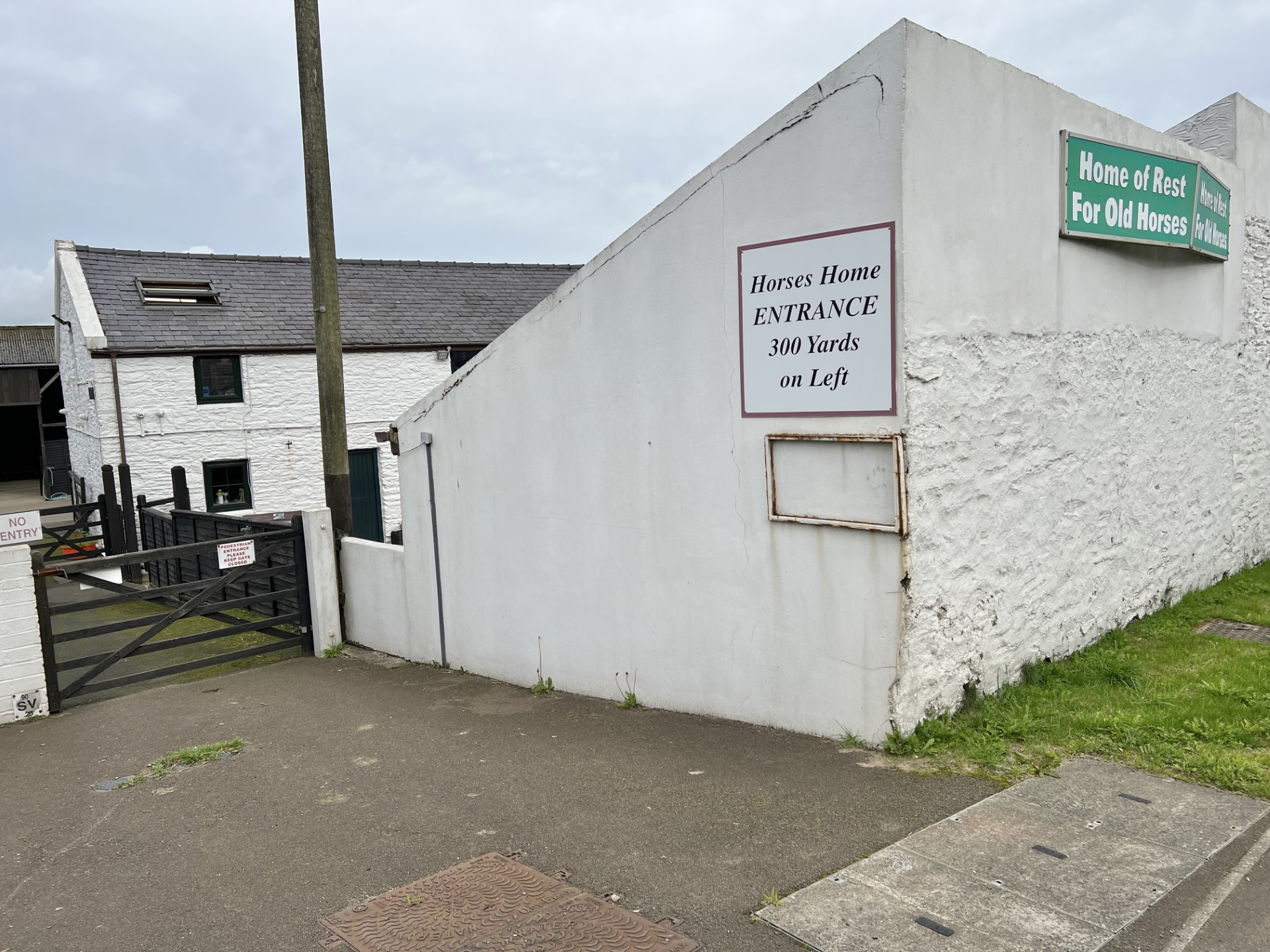 Home of Rest for Old Horses appeals for 'desperate' financial help