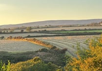 Warmest September on record