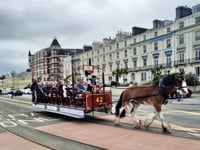 Tram funds issue ‘reflected poorly’ on department