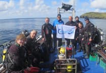 Marine life column: Volunteer divers collecting data to monitor and protect