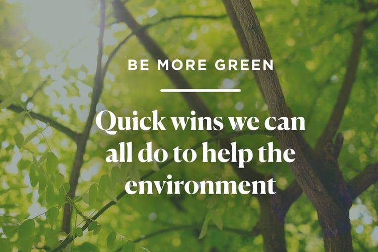 Little things we can do to help the environment