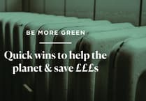 Be more green! Quick wins to help the planet & save £££s