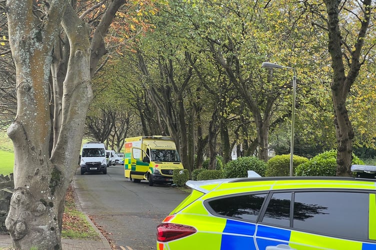 Picture from the scene of the crash