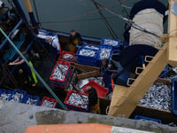 Manx herring fishery 'could be a reality' for first time in 25 years