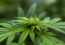 Fine for woman found with 89.4 grams of cannabis in her cupboards