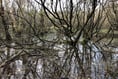 Nature reserve extended thanks to funds donated in memory of mum