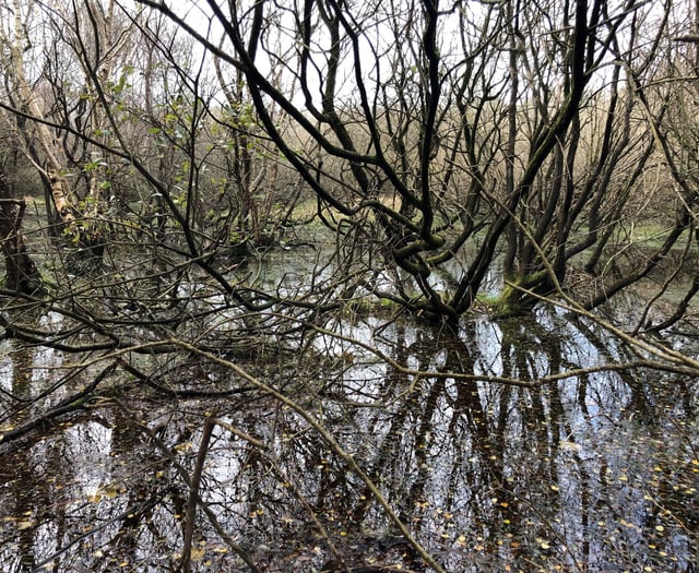 Nature reserve extended thanks to funds donated in memory of mum