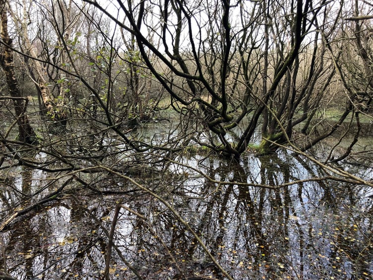 Manx Wildlife Trust Goshen Nature Reserve