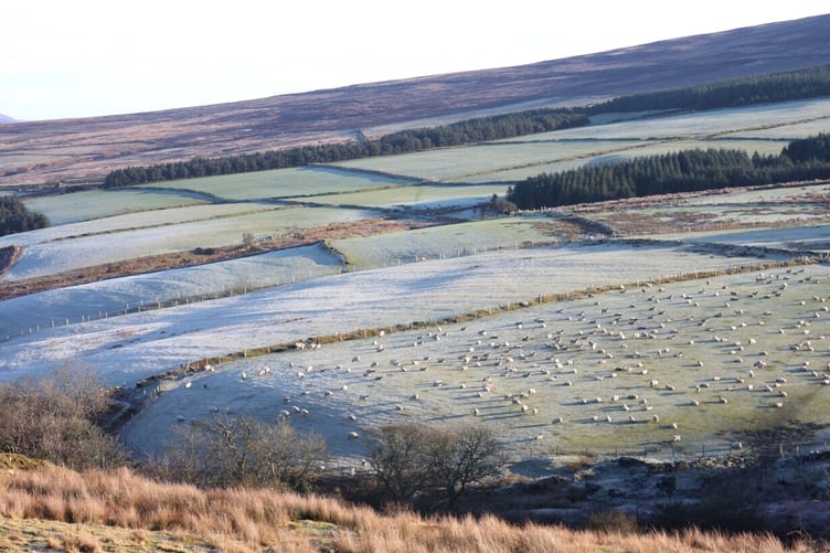 Frost at Glen Rushen
