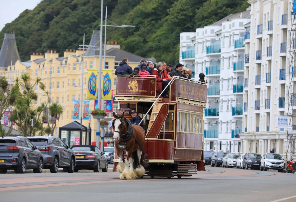 Work on full length horse tramway could begin within a year