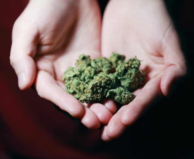 'Bright young man' in court after being caught with cannabis