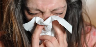 Free allergy and anaphylaxis awareness session to take place next week