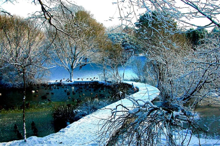 The frozen wonders of a winter walk