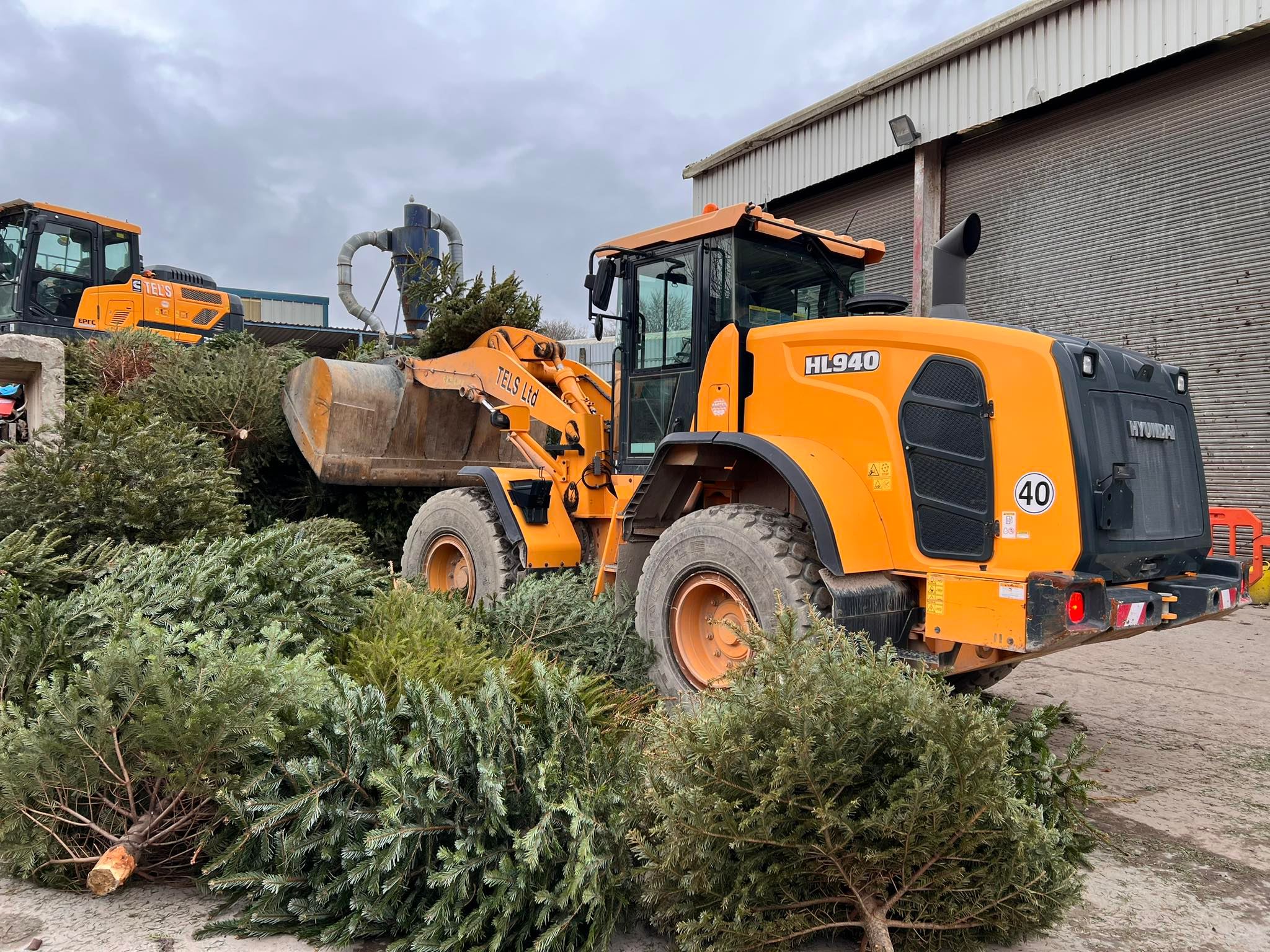 How can I be green at Christmas?